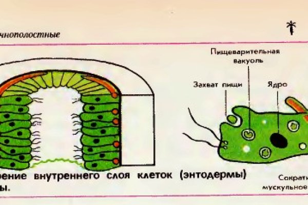 Как восстановить аккаунт кракен