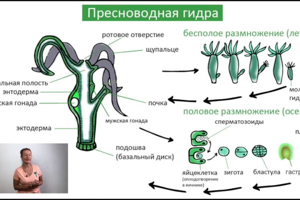 Кракен at сегодня работает ли