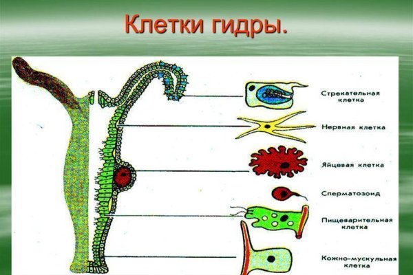 Кракен торговая площадка даркнет